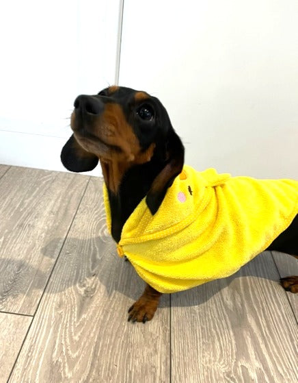 Sausage Dog Box Dachshund Duckie Towel