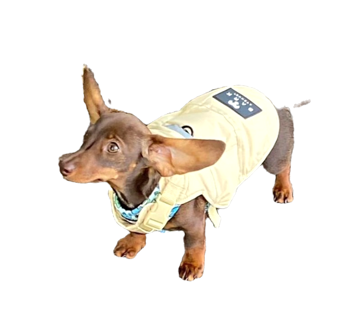 BARK AVENUE Luxury Ultimate Explorer Coat  - Stone