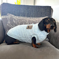 Load image into Gallery viewer, Cloud Blue Dachshund Snuggle Fleece - Soft Boys Jumper | Sausage Dog Box
