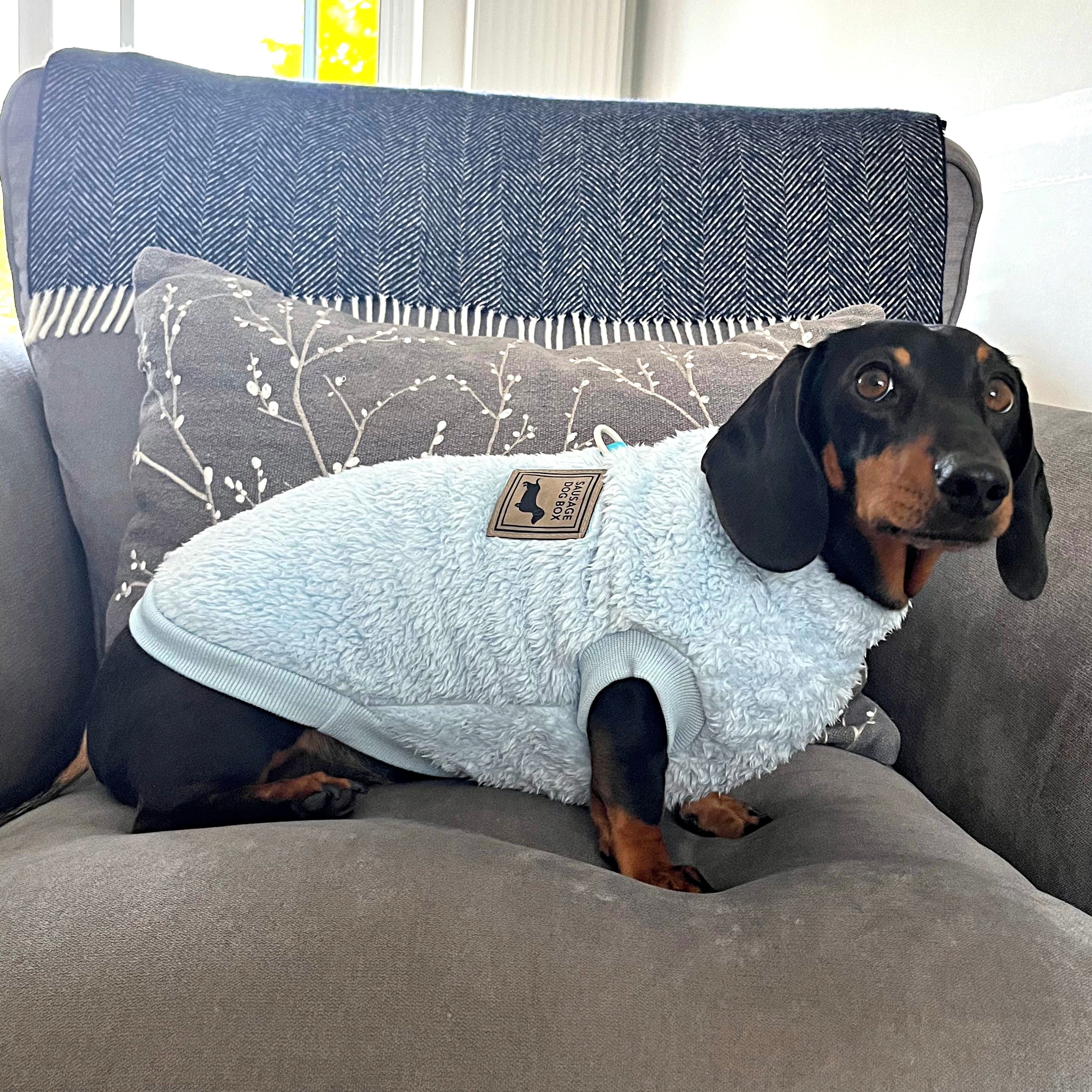 Cloud Blue Dachshund Snuggle Fleece - Soft Boys Jumper | Sausage Dog Box