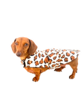 Load image into Gallery viewer, Sausage Dog Box Designer Fleece Waterproof 'Leopard' Dachshund Coat

