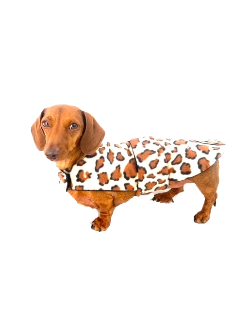 Sausage Dog Box Designer Fleece Waterproof 'Leopard' Dachshund Coat