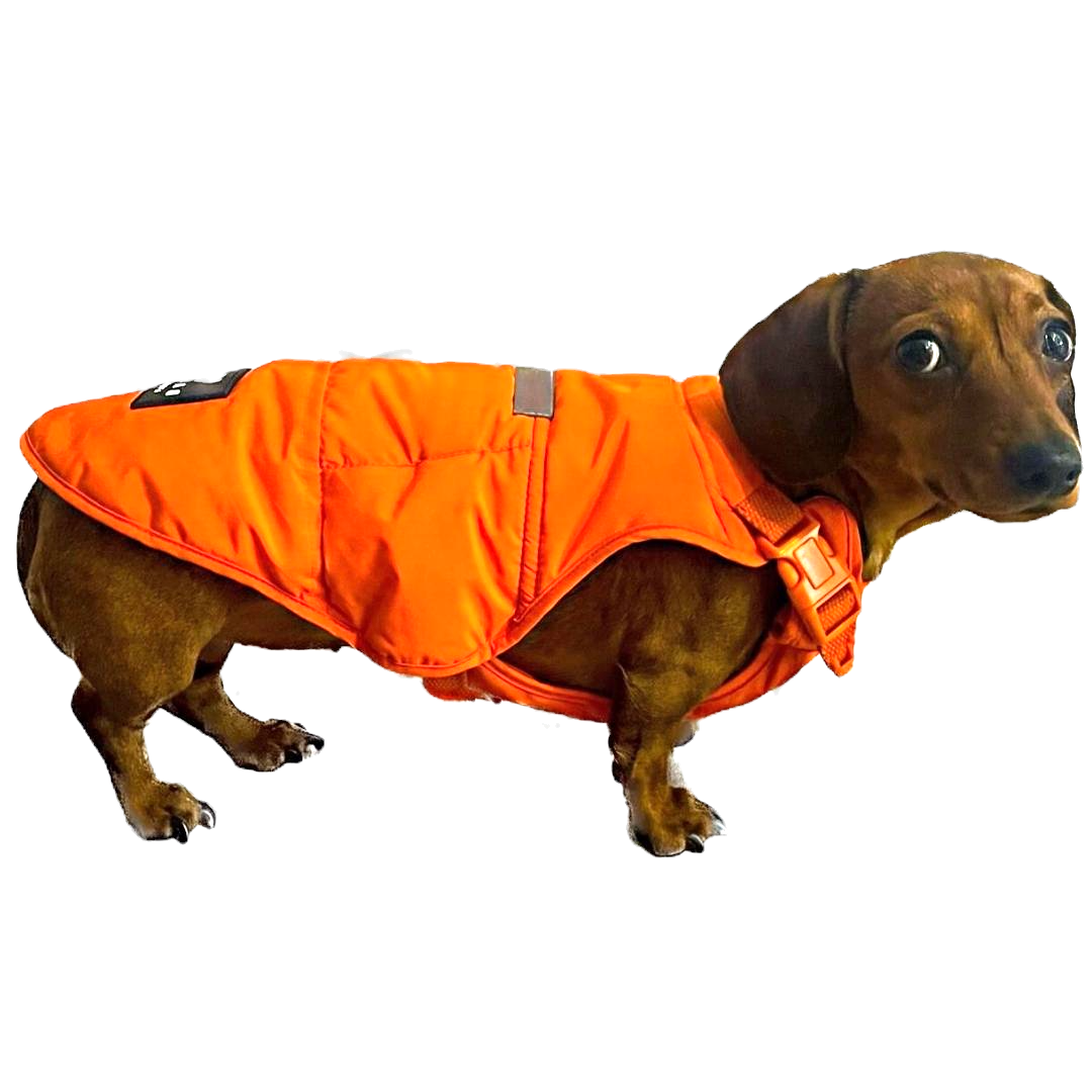 BARK AVENUE Luxury Ultimate Explorer Coat   - Orange