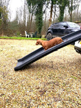 Load image into Gallery viewer, Sausage Dog Box, Dachshund Folding Car Ramp for Dachshund Sausage Dog
