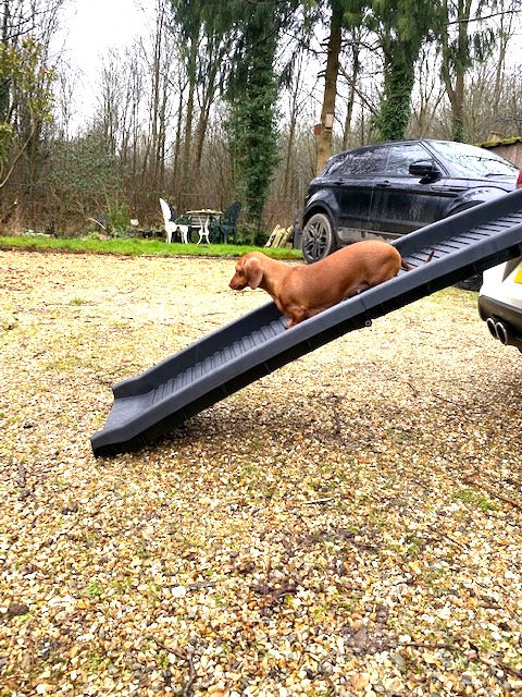 Sausage Dog Box, Dachshund Folding Car Ramp for Dachshund Sausage Dog