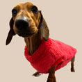Load image into Gallery viewer, Red Dachshund Jumper | Sausage Dog Harness Fleece Sweater Miniature / Standard
