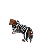 Load image into Gallery viewer, CLEARANCE - Sausage Dog Box Dachshund Zebra Outfit
