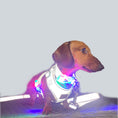 Load image into Gallery viewer, Reflective Lead / Leash - Glow Getter
