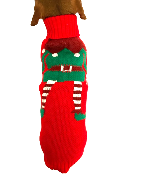 Sausage Dog Box Dachshund Christmas Elf Jumper