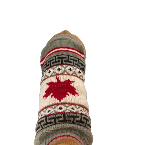 Maple Leaf Dachshund Jumper