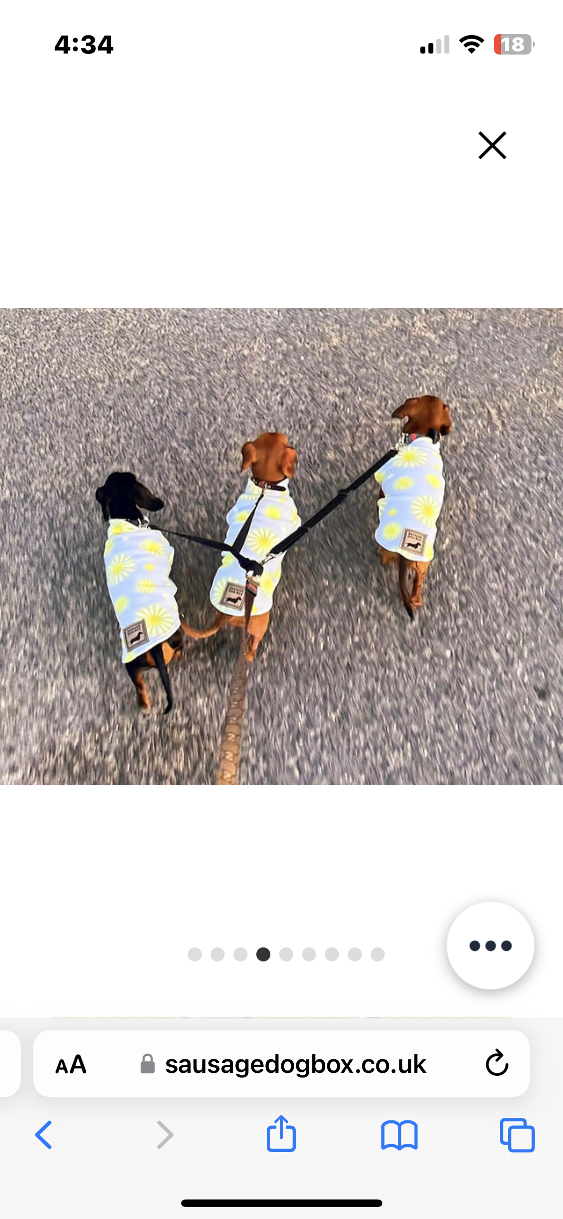 Sausage Dog Box Dachshund Designer Daisy Pullover Jumper