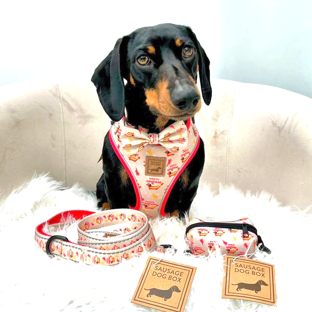 Adjustable Harness - Saucy Sausage
