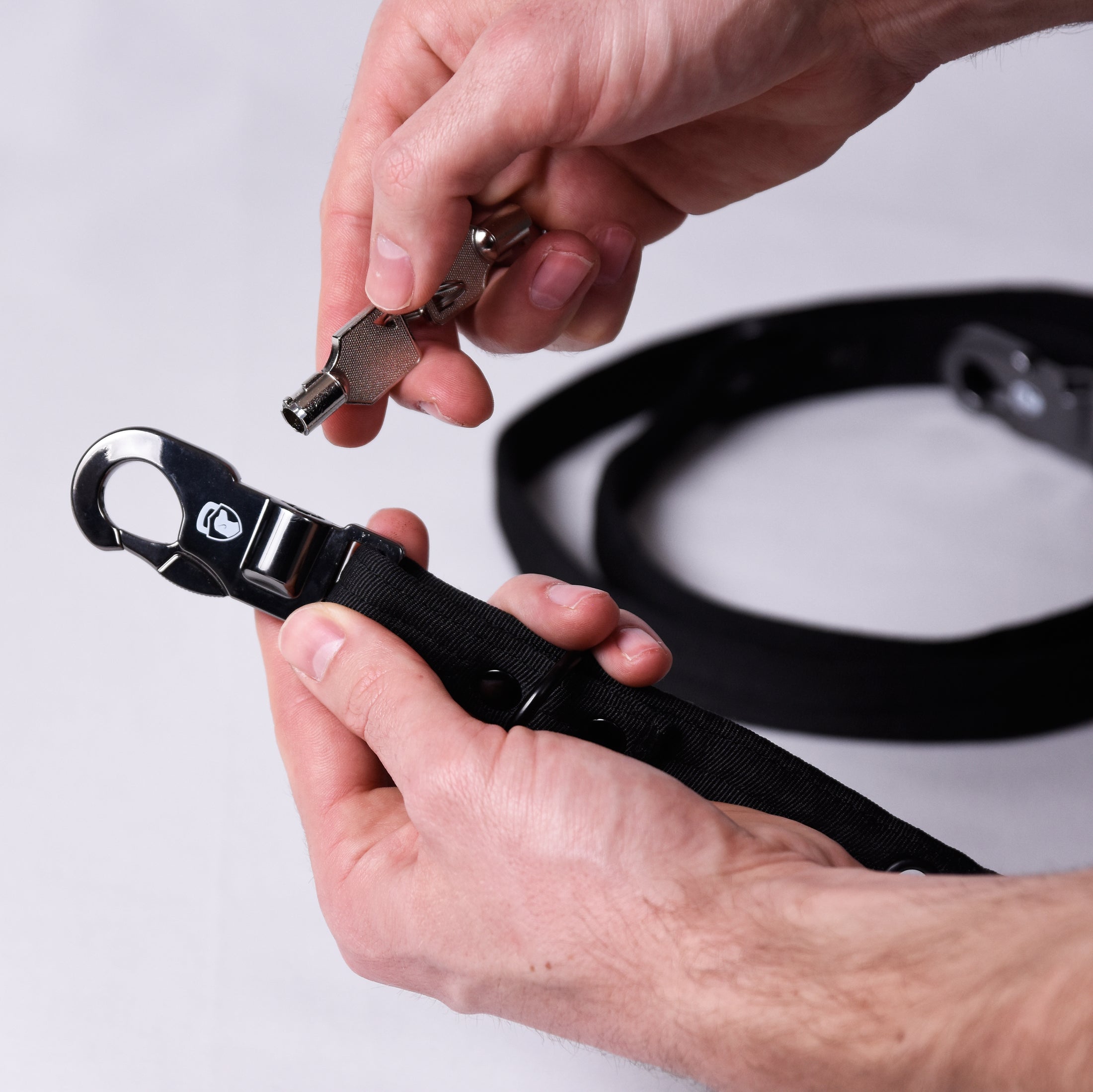 Anti Theft Lock Dog Lead And Collar