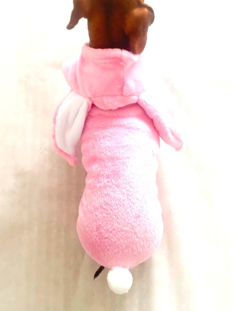 Dachshund Bunny Outfit