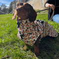 Load image into Gallery viewer, Weiner On Wheels Polartec Waterproof Dachshund Coat - Sausage Dog Box

