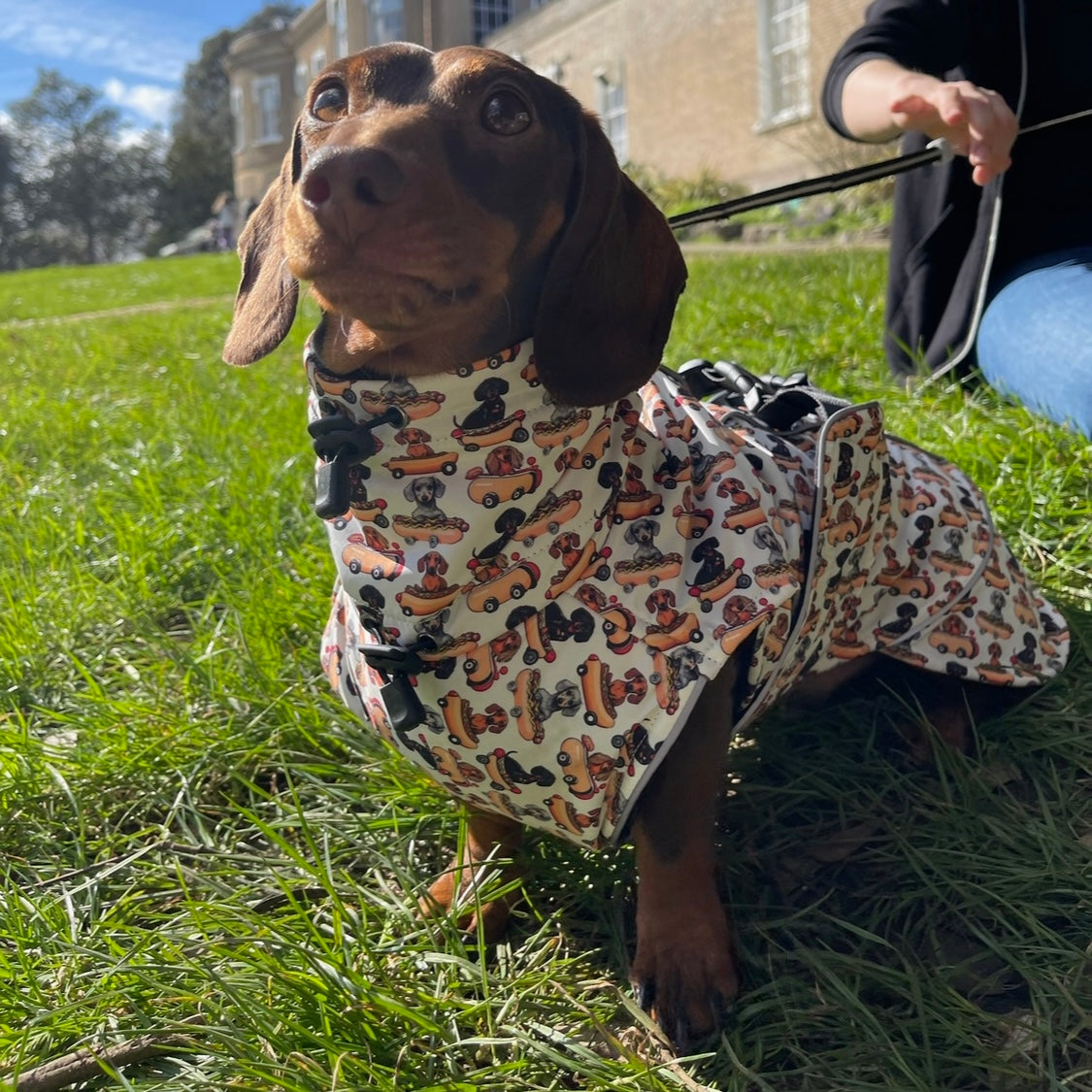 Weiner On Wheels Polartec Waterproof Dachshund Coat - Sausage Dog Box