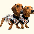 Load image into Gallery viewer, Antibacterial Dachshund Dog Surgery Suit | Sausage Dog Recovery / Allergy Outfit
