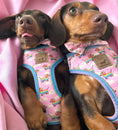 Load image into Gallery viewer, Anti-Rub Harness Designed For Dachshunds - Chasing Rainbows
