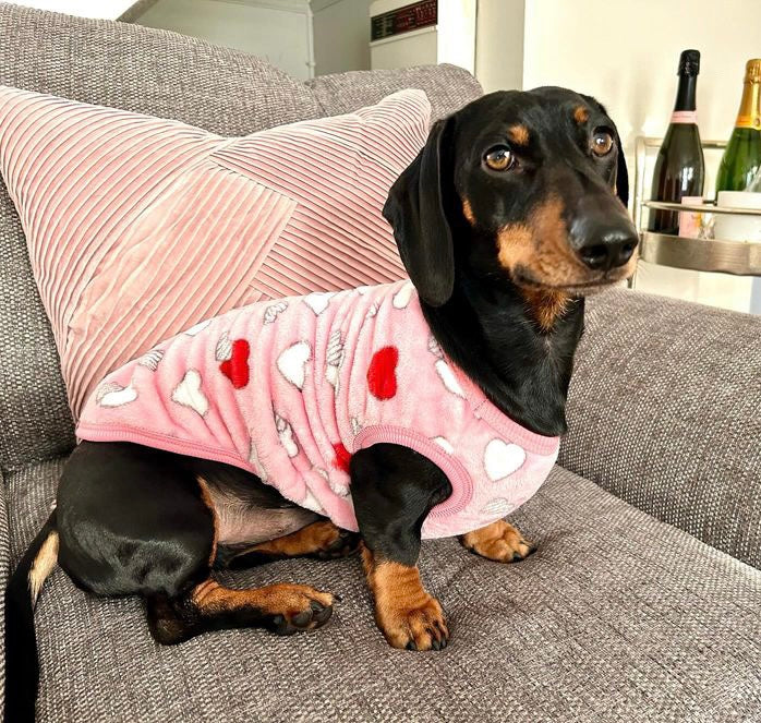 Pink Mini Love Hearts - Sausage Dog Box Dachshund PJ's/Jumper