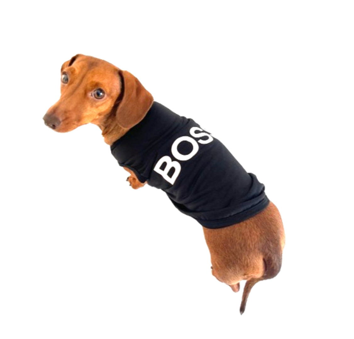 CLEARANCE - Sausage Dog Box Boss Vest