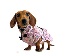 Load image into Gallery viewer, Chasing Rainbows Pink Polartec Fleece Waterproof Dachshund Coat Sausage Dog
