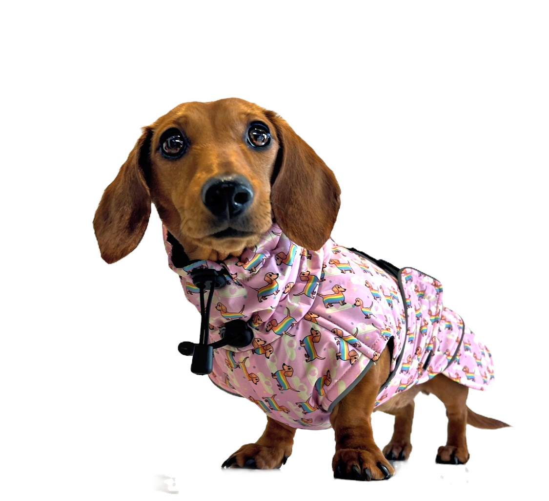 Chasing Rainbows Pink Polartec Fleece Waterproof Dachshund Coat Sausage Dog
