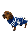 Load image into Gallery viewer, CLEARANCE - Sausage Dog Box Dachshund Panda Jumper
