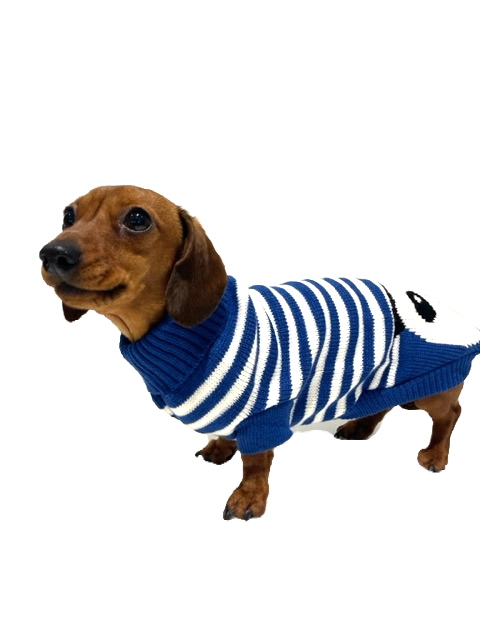 CLEARANCE - Sausage Dog Box Dachshund Panda Jumper