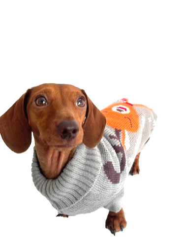 Sausage Dog Box Dachshund Reindeer Christmas Jumper