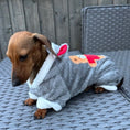 Load image into Gallery viewer, Double Fleece Dachshund Outfit - 'Jordans' BALLS 23 | Sausage Dog Box
