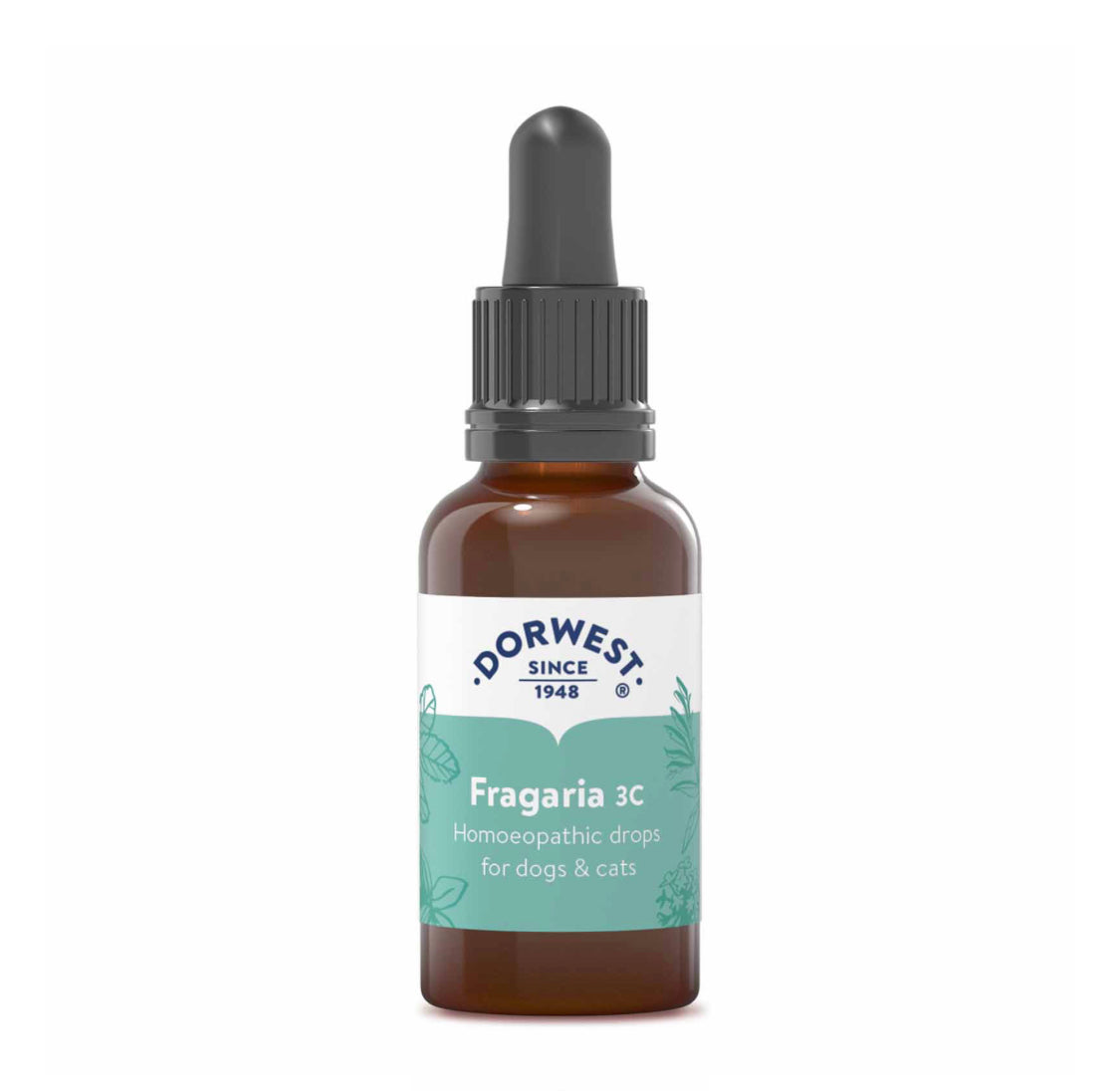 Dorwest Fragaria 3C - 15ml Liquid - Dachshund’s Tartar Removal - Oral Health