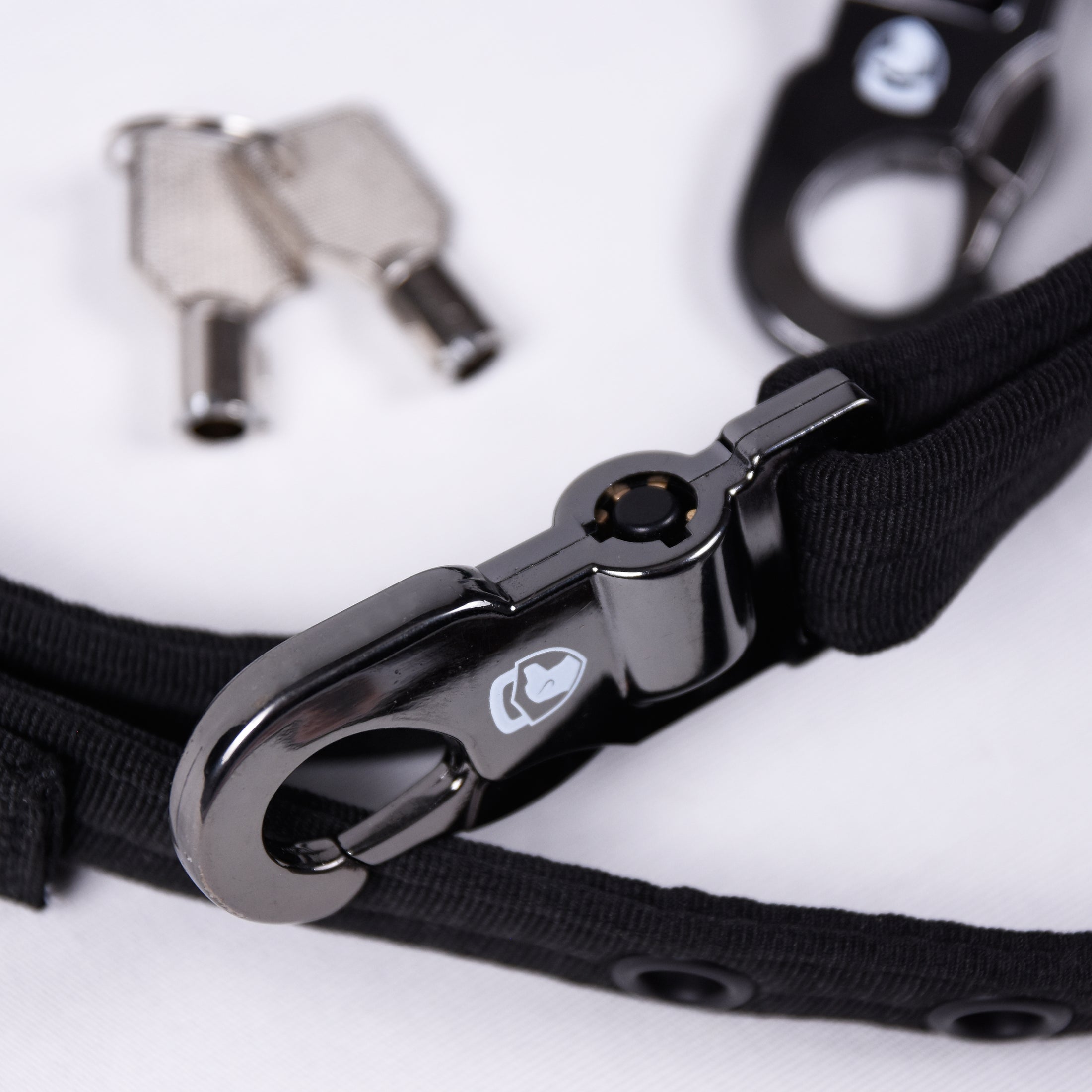 Anti Theft Lock Dog Lead And Collar