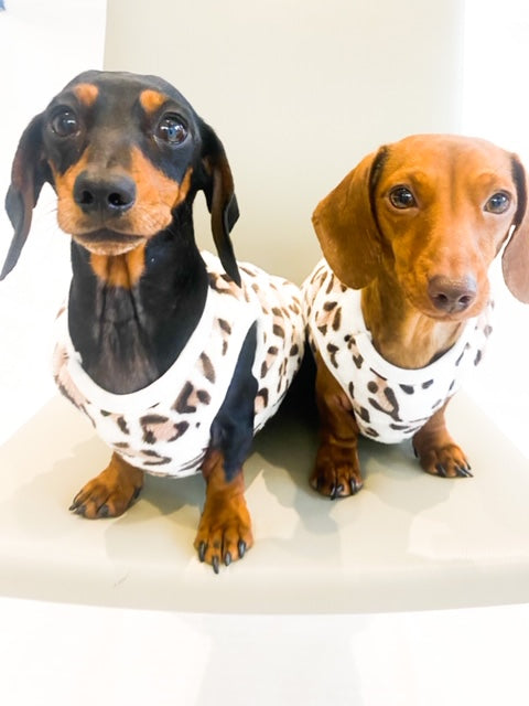 Sausage Dog Box, Dachshund Leopard Cute Cosy Dachshund PJ's Jumper