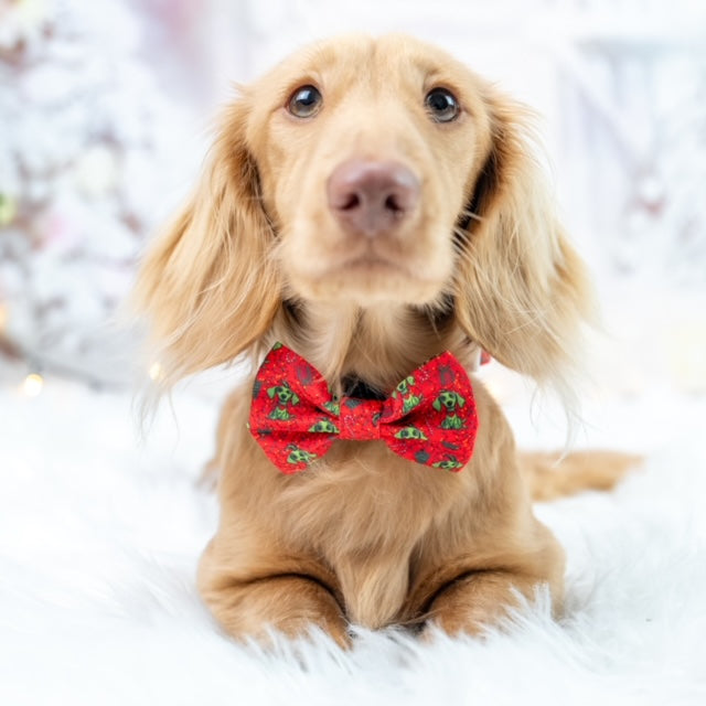 ‘Mr Meanie’ Red Dachshund Christmas Bow Tie - Sausage Dog Box