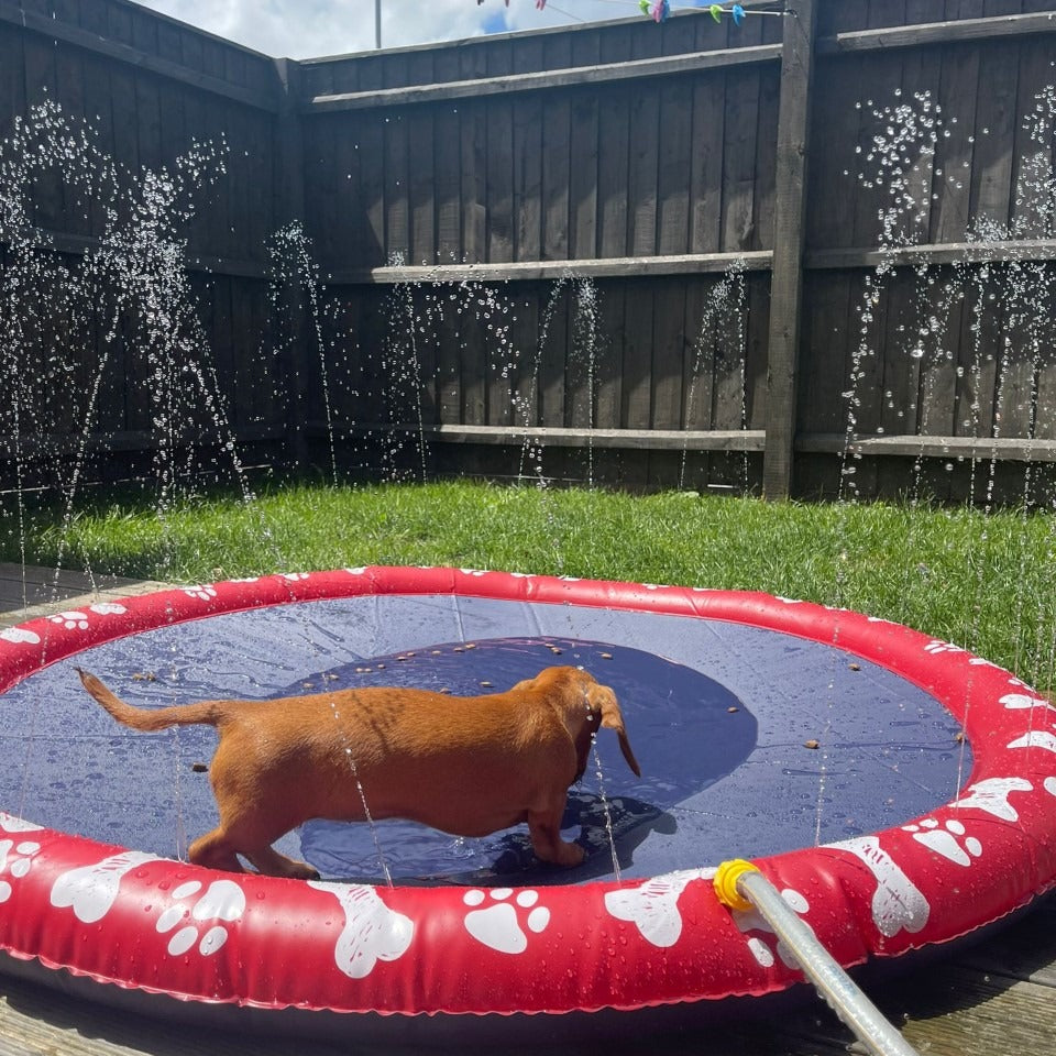 Dachshund Splash Pad Sprinkler Mat Pool