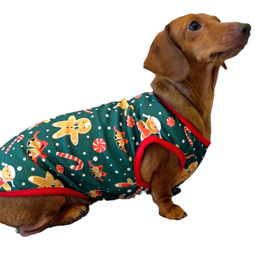 Sausage Dog Box Christmas Gingerbread Tee