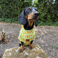 Load image into Gallery viewer, Sicilian Sausage Dachshund Cooling Tee – Zip Back
