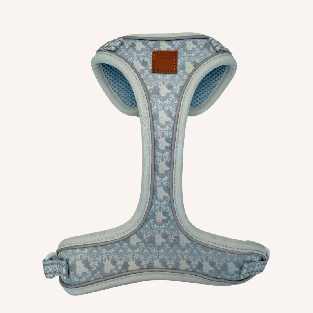 Back view of the pale blue Sausage Society DoxieLite dachshund harness with adjustable straps