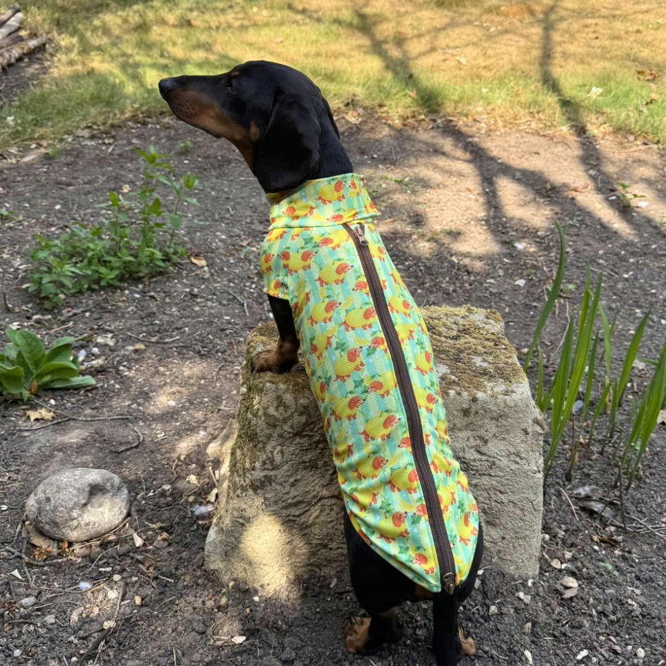 Sicilian Sausage Dachshund Cooling Tee – Zip Back