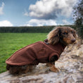Load image into Gallery viewer, Chocolate Waterproof Dachshund Harness Fleece | DoxieDri by Sausage Dog Box

