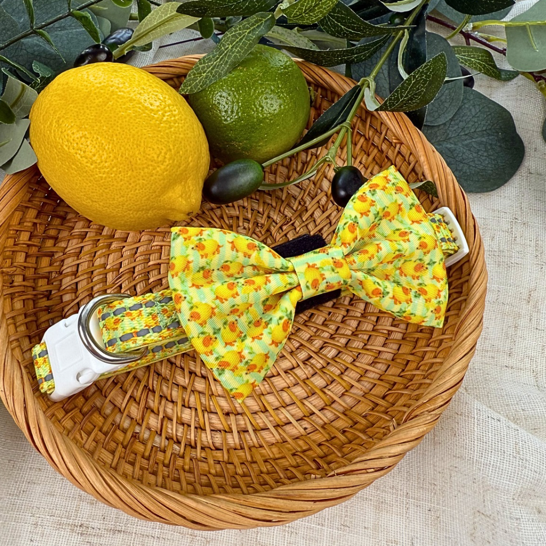 Sicilian Sausage Dachshund Bow Tie