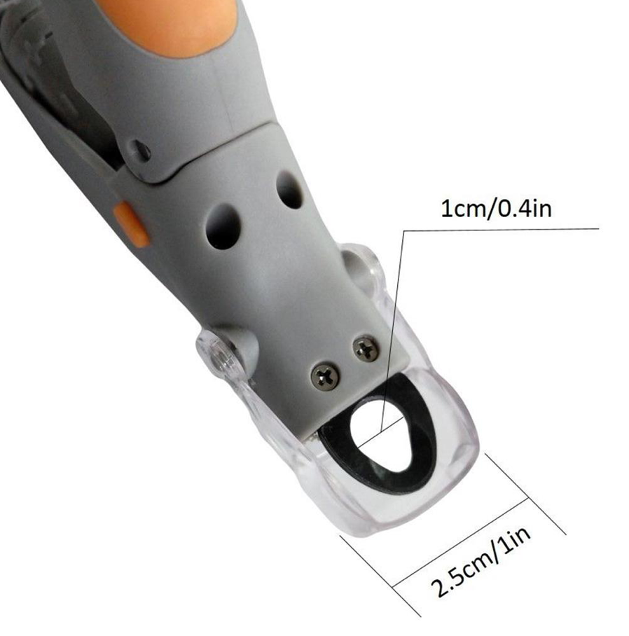 Sausage Dog Box, Dachshund LED Illuminated Dog Nail Clippers