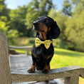 Load image into Gallery viewer, Sicilian Sausage Dachshund Bow Tie
