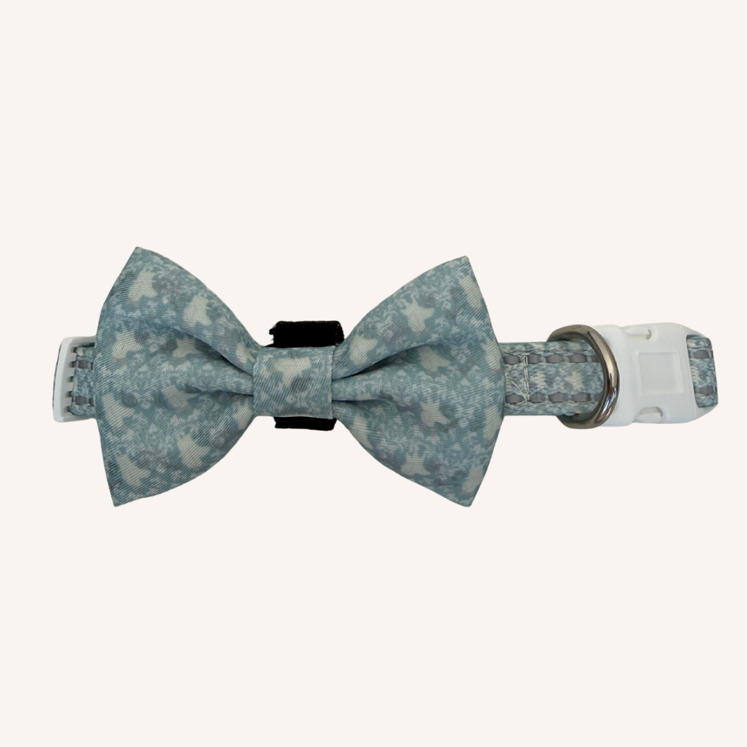 Sausage Society dachshund bow tie attached to a matching pale blue dog collar