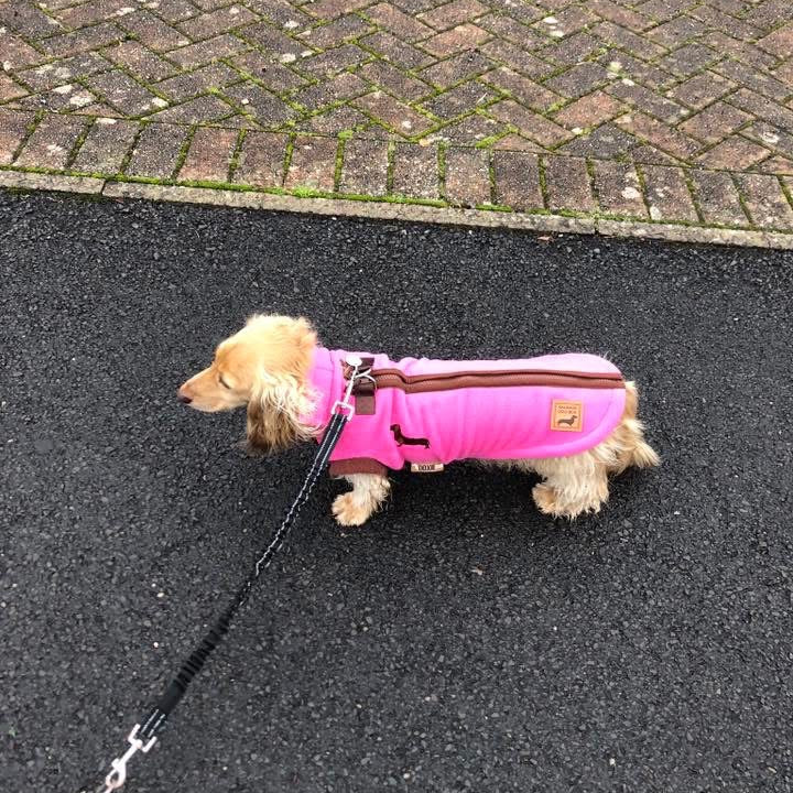 Coco Flamingo Waterproof Dachshund Harness Fleece | DoxieDri Step-In Jumper
