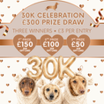 Load image into Gallery viewer, Sausage Dog Box 30K Prize Draw | £300 in Prizes
