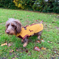 Load image into Gallery viewer, Golden Acorn Waterproof Dachshund Harness Fleece | Sausage Dog Box DoxieDri
