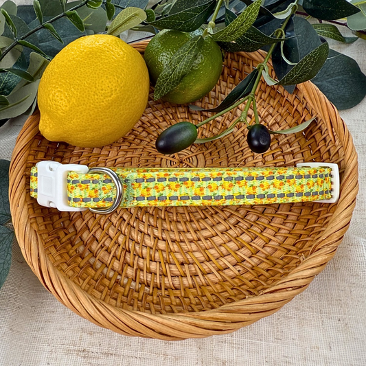 Sicilian Sausage Dachshund Collar | Adjustable One Size