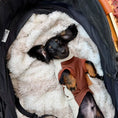 Load image into Gallery viewer, Chocolate Waterproof Dachshund Harness Fleece | DoxieDri by Sausage Dog Box
