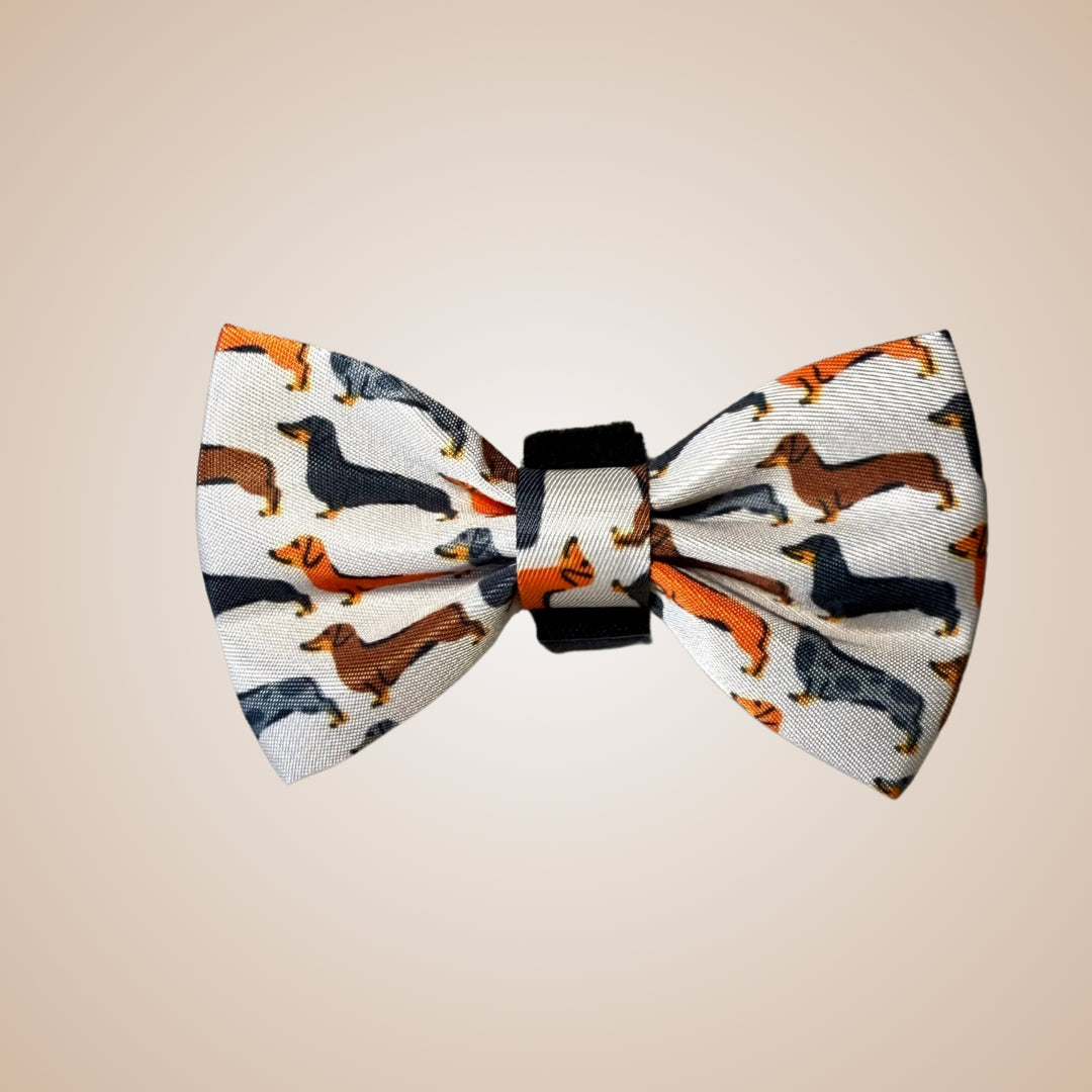 Beige sophisticated sausage dog bow tie attached to a dachshund collar with an exclusive dachshund print.
